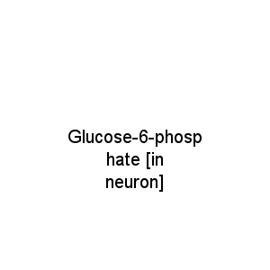 Glucose-6-phosphate [in neuron]